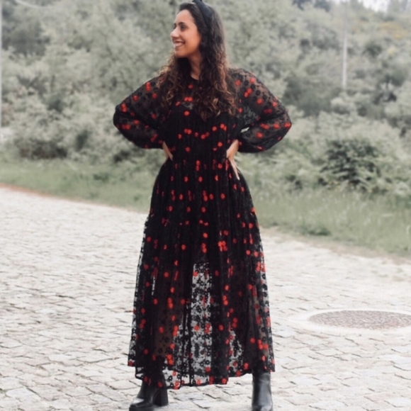 ZARA embroidered mesh maxi dress XS - Picture 3 of 16